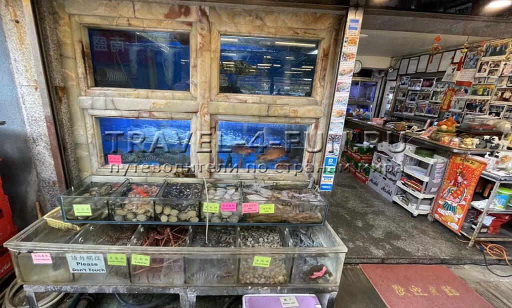 остров Ламма рестораны с морепродуктами